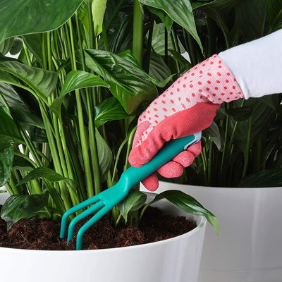Watering Cane - Robeet